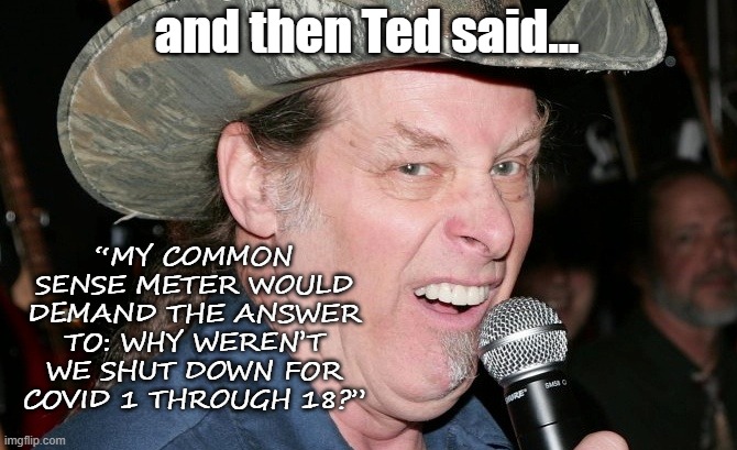 and then Ted said... | and then Ted said... “MY COMMON SENSE METER WOULD DEMAND THE ANSWER TO: WHY WEREN’T WE SHUT DOWN FOR COVID 1 THROUGH 18?” | image tagged in racist ted nugent,ted nugent,covid-19,covid,republican | made w/ Imgflip meme maker