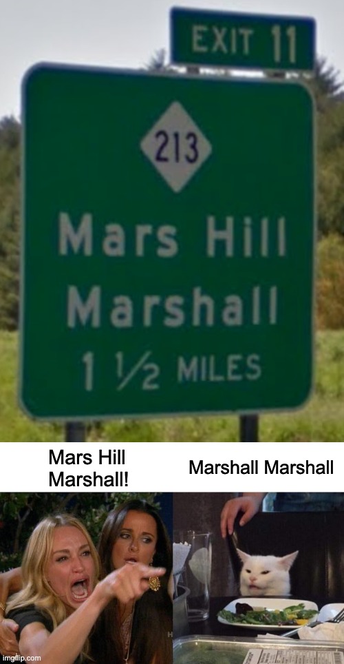 Mars Hill Marshall | Marshall Marshall; Mars Hill 
Marshall! | image tagged in memes,woman yelling at cat | made w/ Imgflip meme maker