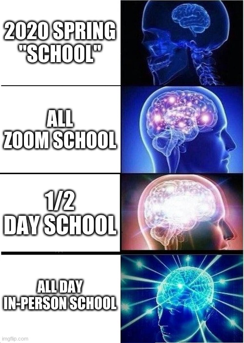 Expanding Brain | 2020 SPRING "SCHOOL"; ALL ZOOM SCHOOL; 1/2 DAY SCHOOL; ALL DAY IN-PERSON SCHOOL | image tagged in memes,expanding brain,zoom,online school | made w/ Imgflip meme maker