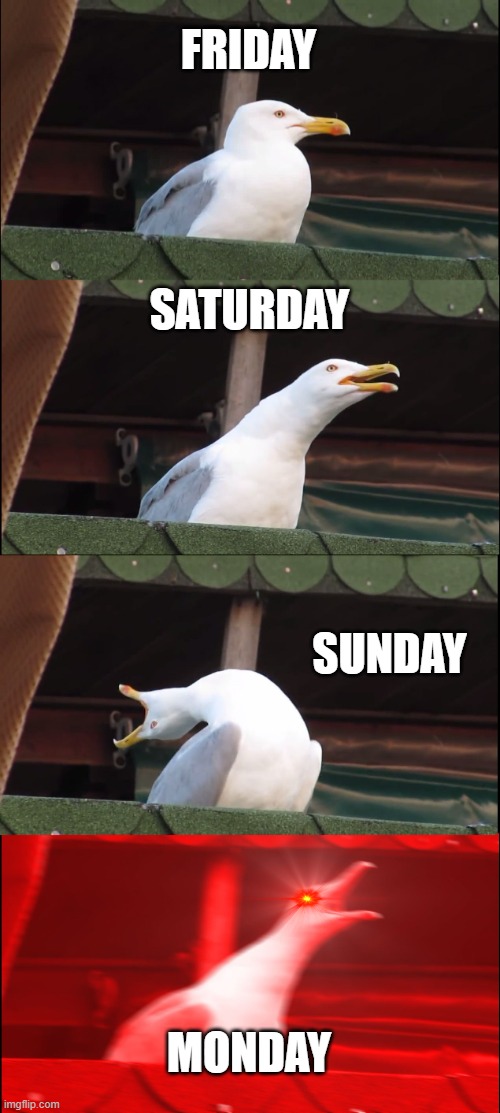 Inhaling Seagull | FRIDAY; SATURDAY; SUNDAY; MONDAY | image tagged in memes,inhaling seagull | made w/ Imgflip meme maker