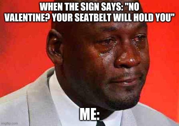 crying michael jordan | WHEN THE SIGN SAYS: "NO VALENTINE? YOUR SEATBELT WILL HOLD YOU"; ME: | image tagged in crying michael jordan | made w/ Imgflip meme maker
