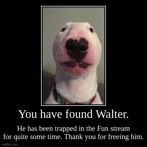 You have found walter. | image tagged in funny,demotivationals | made w/ Imgflip demotivational maker