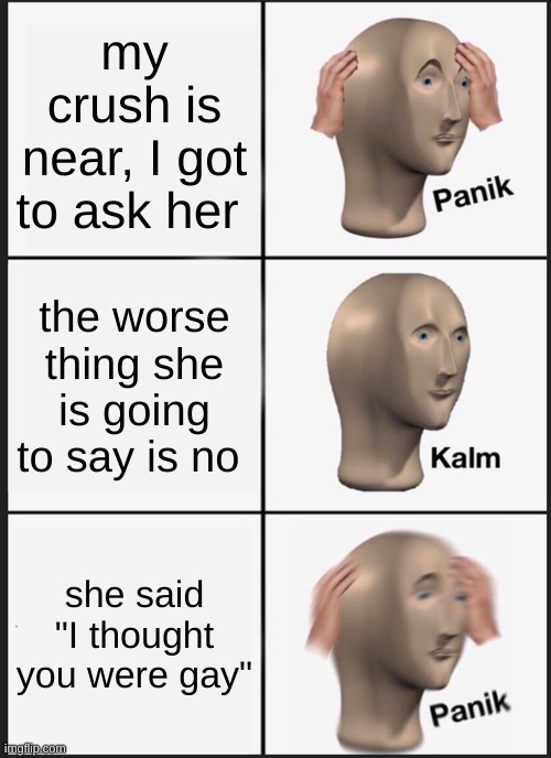 Panik Kalm Panik | my crush is near, I got to ask her; the worse thing she is going to say is no; she said "I thought you were gay" | image tagged in memes,panik kalm panik | made w/ Imgflip meme maker