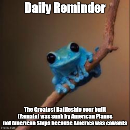 DWACFGEBH | Daily Reminder; The Greatest Battleship ever built (Yamato) was sunk by American Planes not American Ships because America was cowards | image tagged in fun fact frog,screw your mom | made w/ Imgflip meme maker