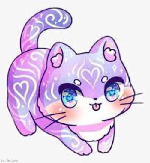 u see this kitty (no killing involved plz)....wwyd | made w/ Imgflip meme maker
