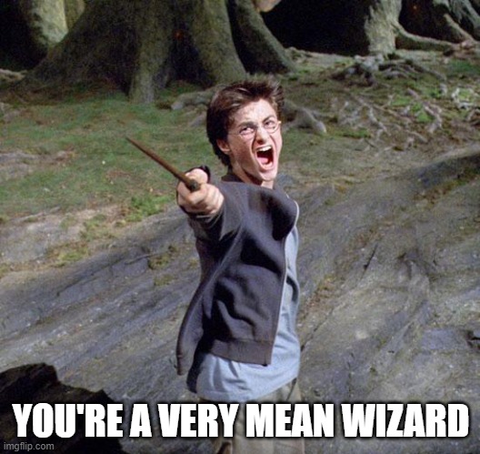 Harry potter | YOU'RE A VERY MEAN WIZARD | image tagged in harry potter | made w/ Imgflip meme maker