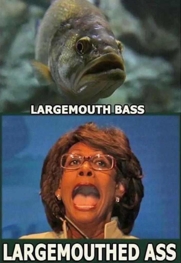 High Quality Maxine Waters large mouth ass Blank Meme Template