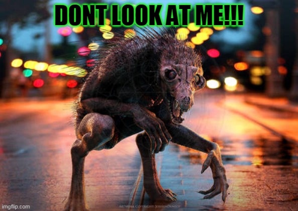 Chupacabra Frame | DONT LOOK AT ME!!! | image tagged in funny | made w/ Imgflip meme maker