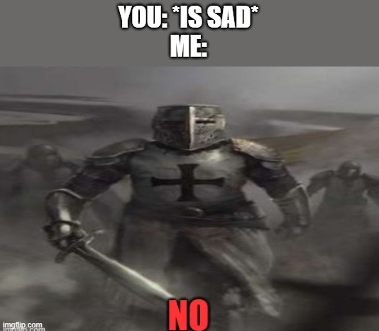 I will support you all | YOU: *IS SAD*
ME: | image tagged in crusader looking at you saying no | made w/ Imgflip meme maker