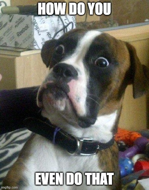 Surprised Dog | HOW DO YOU EVEN DO THAT | image tagged in surprised dog | made w/ Imgflip meme maker
