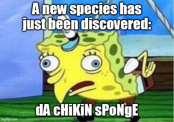 Mocking Spongebob | A new species has just been discovered:; dA cHiKiN sPoNgE | image tagged in memes,mocking spongebob | made w/ Imgflip meme maker