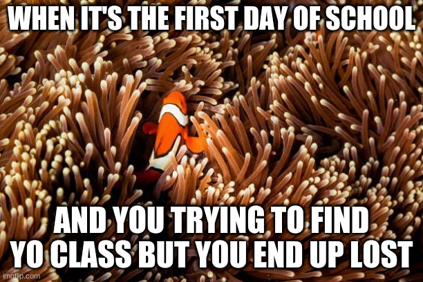 hilarious | WHEN IT'S THE FIRST DAY OF SCHOOL; AND YOU TRYING TO FIND YO CLASS BUT YOU END UP LOST | image tagged in spongebob laughing hysterically | made w/ Imgflip meme maker