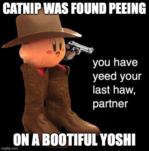 Kirby: you have yee-ed your last haw | CATNIP WAS FOUND PEEING; ON A BOOTIFUL YOSHI | image tagged in kirby you have yee-ed your last haw | made w/ Imgflip meme maker