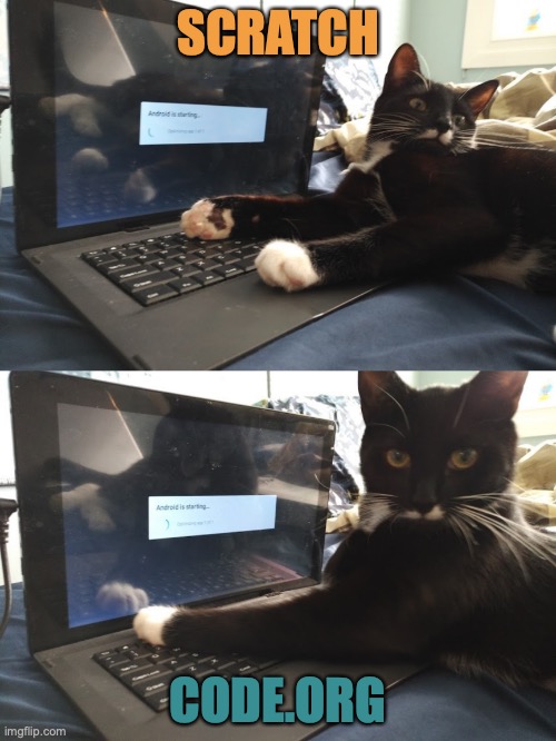 Keyboard Warrior Cat | SCRATCH; CODE.ORG | image tagged in keyboard warrior cat | made w/ Imgflip meme maker