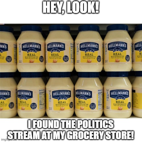 HEY, LOOK! I FOUND THE POLITICS STREAM AT MY GROCERY STORE! | made w/ Imgflip meme maker