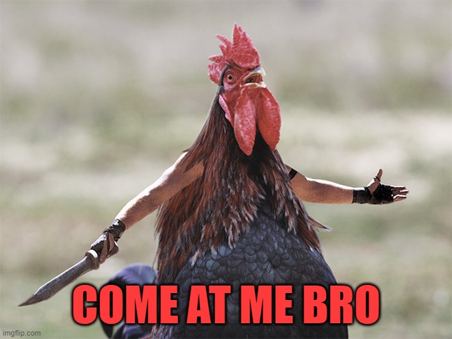 Come At Me Bro | COME AT ME BRO | image tagged in come at me bro | made w/ Imgflip meme maker