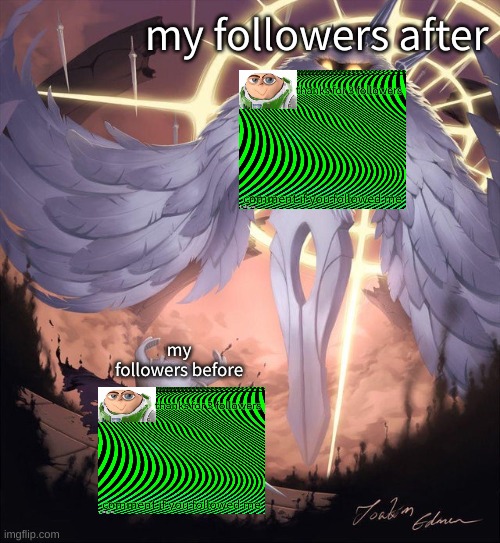 thank you for that :) | my followers after; my followers before | image tagged in hollow knight and absolute radiance,thank you | made w/ Imgflip meme maker