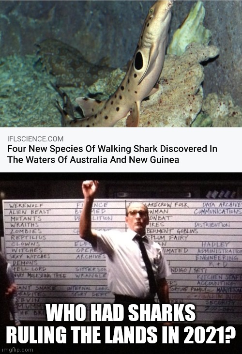 Sharks walking | WHO HAD SHARKS RULING THE LANDS IN 2021? | image tagged in who had x for y | made w/ Imgflip meme maker