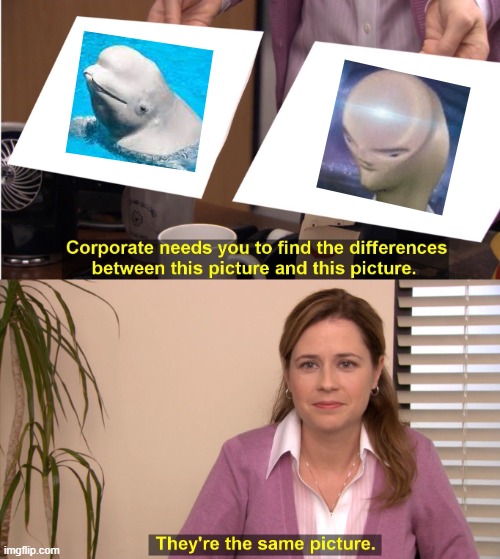 They're The Same Picture | image tagged in memes,they're the same picture,smort | made w/ Imgflip meme maker