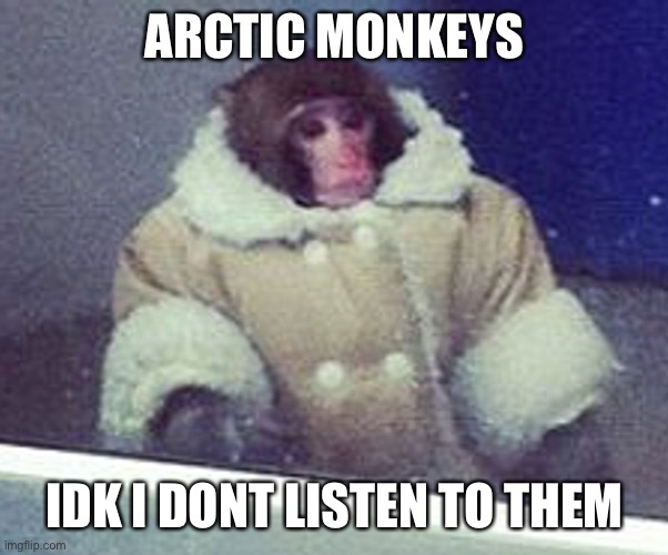 Arctic Monkeys | ARCTIC MONKEYS; IDK I DONT LISTEN TO THEM | image tagged in arctic,monkeys,bands,alternative,music | made w/ Imgflip meme maker