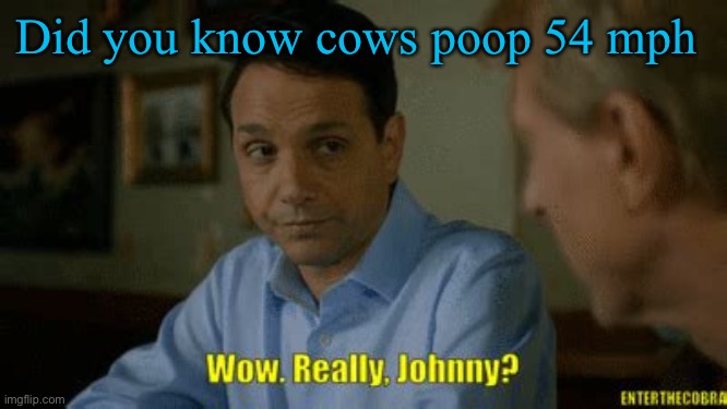 Really johnny? | Did you know cows poop 54 mph | image tagged in really johnny | made w/ Imgflip meme maker