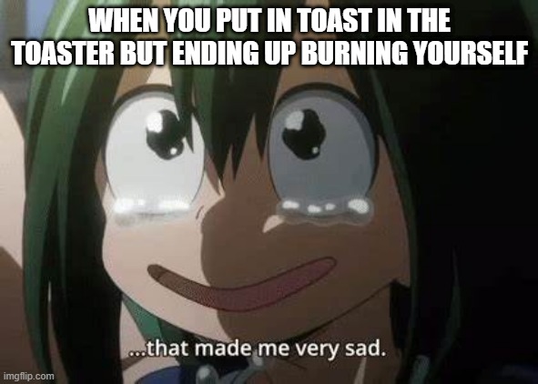 :) | WHEN YOU PUT IN TOAST IN THE TOASTER BUT ENDING UP BURNING YOURSELF | image tagged in kermit the frog | made w/ Imgflip meme maker