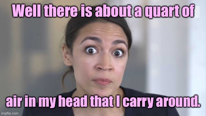 Crazy Alexandria Ocasio-Cortez | Well there is about a quart of air in my head that I carry around. | image tagged in crazy alexandria ocasio-cortez | made w/ Imgflip meme maker