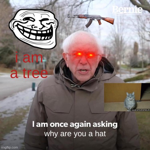 How to get a featured meme | i am a tree; why are you a hat | image tagged in memes,bernie i am once again asking for your support | made w/ Imgflip meme maker