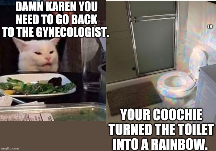 DAMN KAREN YOU NEED TO GO BACK TO THE GYNECOLOGIST. J M; YOUR COOCHIE TURNED THE TOILET INTO A RAINBOW. | image tagged in reverse smudge and karen | made w/ Imgflip meme maker