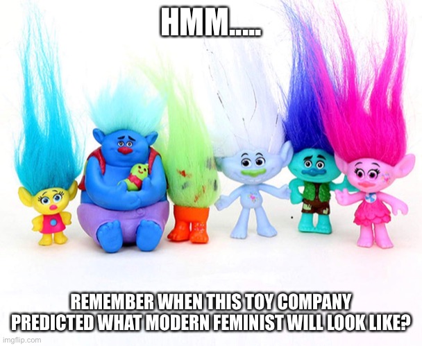 Remember when... | HMM..... REMEMBER WHEN THIS TOY COMPANY PREDICTED WHAT MODERN FEMINIST WILL LOOK LIKE? | image tagged in don't feed the trolls | made w/ Imgflip meme maker