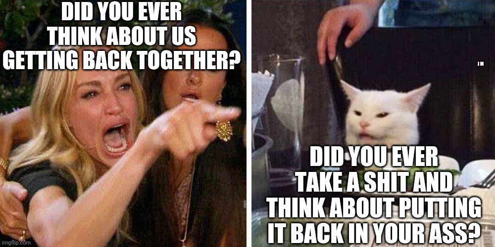 Smudge the cat | DID YOU EVER THINK ABOUT US GETTING BACK TOGETHER? J M; DID YOU EVER TAKE A SHIT AND THINK ABOUT PUTTING IT BACK IN YOUR ASS? | image tagged in smudge the cat | made w/ Imgflip meme maker