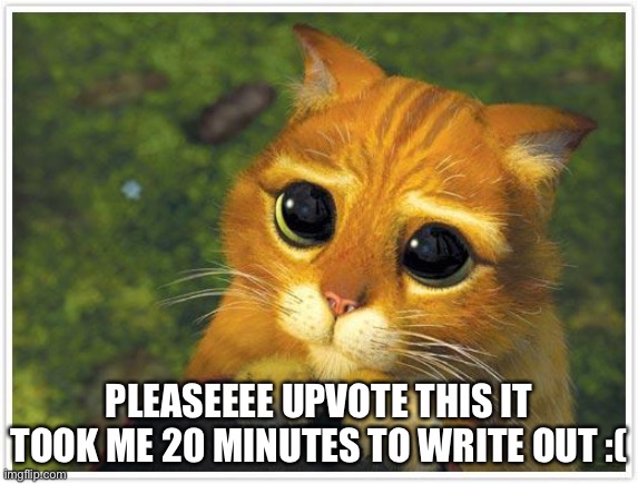 https://imgflip.com/i/56jdd9 | PLEASEEEE UPVOTE THIS IT TOOK ME 20 MINUTES TO WRITE OUT :( | image tagged in memes,shrek cat | made w/ Imgflip meme maker