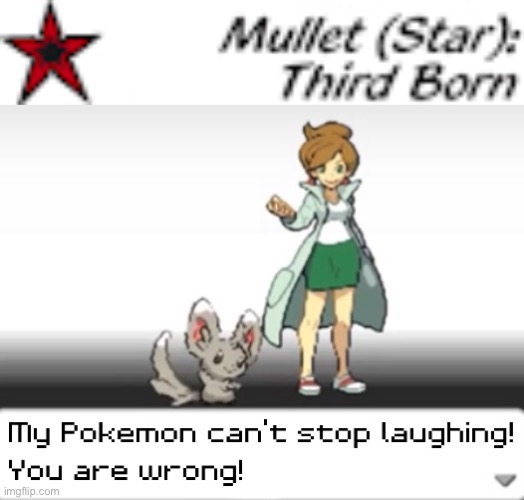 That’s not a mullet, that’s a star! | image tagged in my pokemon can't stop laughing you are wrong | made w/ Imgflip meme maker