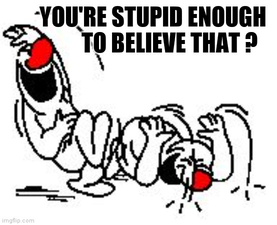 LOL Hysterically | YOU'RE STUPID ENOUGH 
TO BELIEVE THAT ? | image tagged in lol hysterically | made w/ Imgflip meme maker