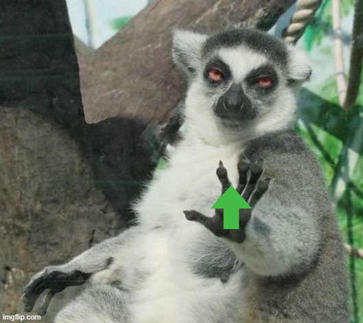 Stoner Lemur Meme | image tagged in memes,stoner lemur | made w/ Imgflip meme maker