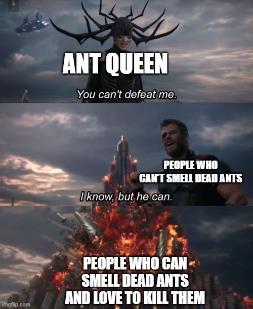 Seriously, am I the only one who can smell dead ants? | ANT QUEEN; PEOPLE WHO CAN'T SMELL DEAD ANTS; PEOPLE WHO CAN SMELL DEAD ANTS AND LOVE TO KILL THEM | image tagged in you can't defeat me | made w/ Imgflip meme maker
