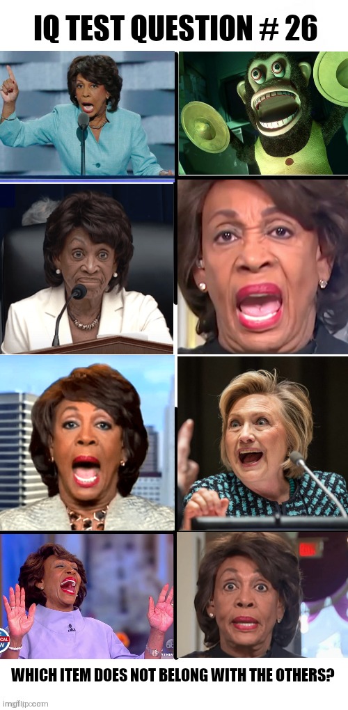 Mad Maxine | IQ TEST QUESTION # 26; WHICH ITEM DOES NOT BELONG WITH THE OTHERS? | image tagged in maxine waters | made w/ Imgflip meme maker