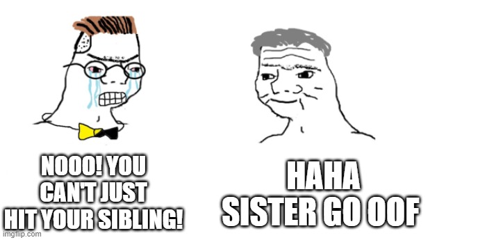 nooo haha go brrr | NOOO! YOU CAN'T JUST HIT YOUR SIBLING! HAHA SISTER GO OOF | image tagged in nooo haha go brrr | made w/ Imgflip meme maker