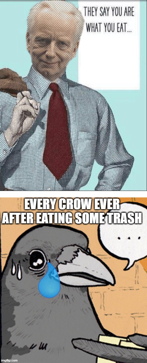  EVERY CROW EVER AFTER EATING SOME TRASH | image tagged in memes,funny memes,senate,you are what you eat | made w/ Imgflip meme maker