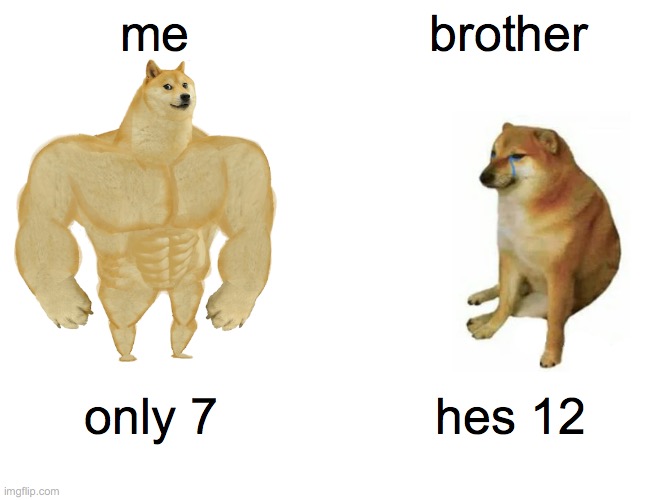 ooooooooooooooooffffffffffffffffffffffffffff | me; brother; only 7; hes 12 | image tagged in memes,buff doge vs cheems | made w/ Imgflip meme maker