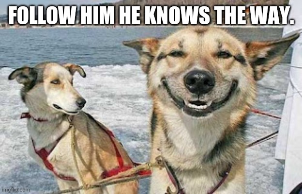 Original Stoner Dog Meme | FOLLOW HIM HE KNOWS THE WAY. | image tagged in memes,original stoner dog | made w/ Imgflip meme maker