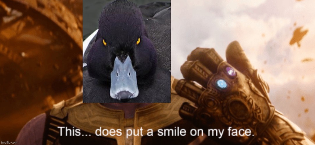 This Does Put a Smile to my Face | image tagged in this does put a smile to my face | made w/ Imgflip meme maker