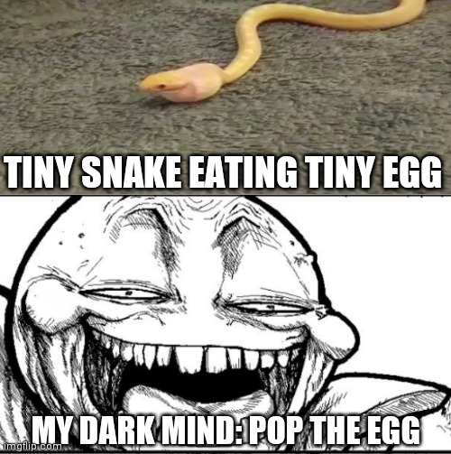 TINY SNAKE EATING TINY EGG; MY DARK MIND: POP THE EGG | image tagged in dark humor | made w/ Imgflip meme maker