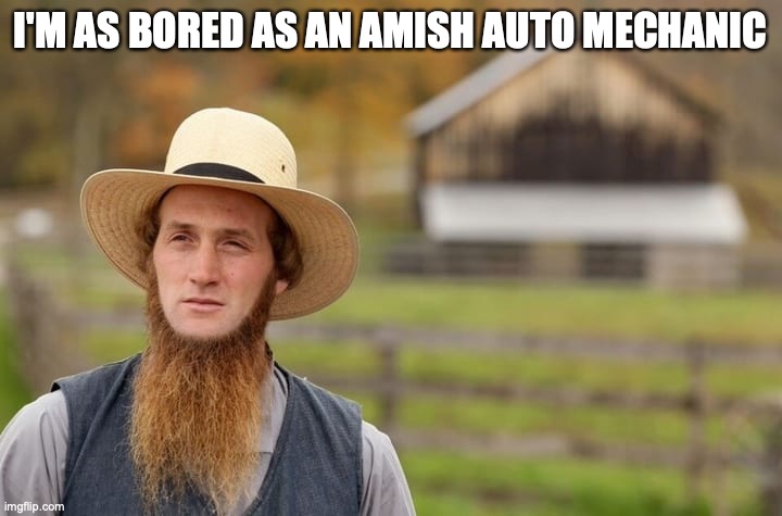 Bored mechanic | I'M AS BORED AS AN AMISH AUTO MECHANIC | image tagged in amish man | made w/ Imgflip meme maker