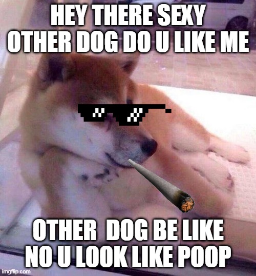 Flirting Doge | HEY THERE SEXY OTHER DOG DO U LIKE ME; OTHER  DOG BE LIKE NO U LOOK LIKE POOP | image tagged in flirting doge | made w/ Imgflip meme maker