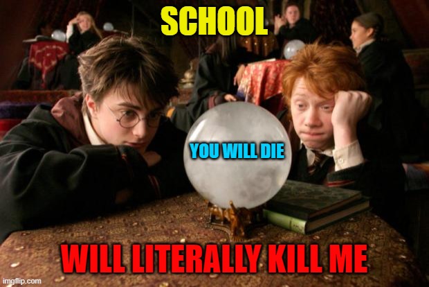 Harry Potter meme | SCHOOL; YOU WILL DIE; WILL LITERALLY KILL ME | image tagged in harry potter meme | made w/ Imgflip meme maker