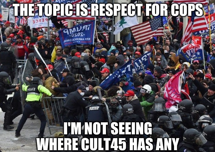 Capitol | THE TOPIC IS RESPECT FOR COPS I'M NOT SEEING WHERE CULT45 HAS ANY | image tagged in capitol | made w/ Imgflip meme maker