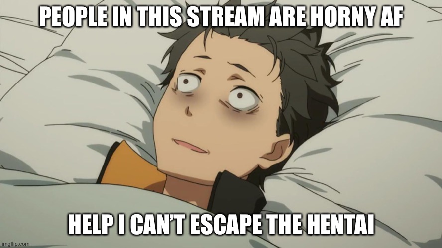 stooooooop | PEOPLE IN THIS STREAM ARE HORNY AF; HELP I CAN’T ESCAPE THE HENTAI | image tagged in re zero subaru | made w/ Imgflip meme maker