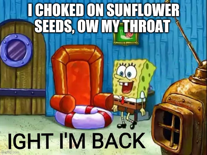 Ight im back | I CHOKED ON SUNFLOWER SEEDS, OW MY THROAT | image tagged in ight im back | made w/ Imgflip meme maker