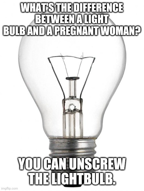Adult humor | WHAT'S THE DIFFERENCE BETWEEN A LIGHT BULB AND A PREGNANT WOMAN? YOU CAN UNSCREW THE LIGHTBULB. | image tagged in light bulb,adult humor,dark humor,pregnant woman | made w/ Imgflip meme maker